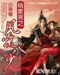杨家将之风流八少/风流杨家将